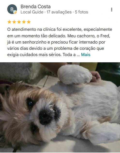 Avaliação real de tutor no Google