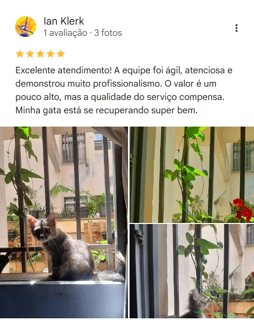 Avaliação real de tutor no Google