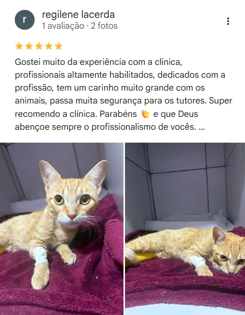 Avaliação real de tutor no Google
