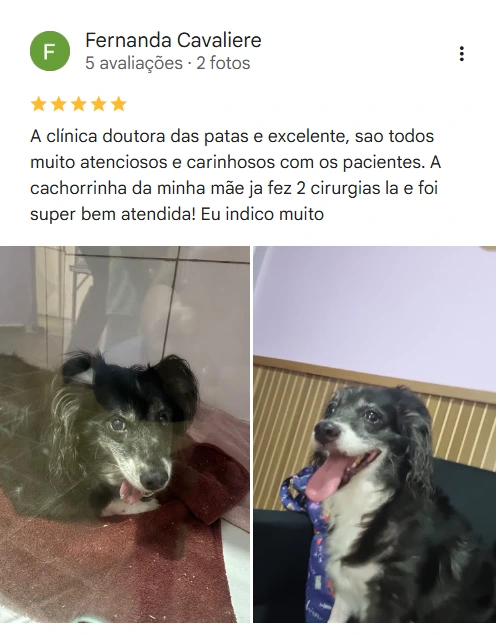 Avaliação real de tutor no Google