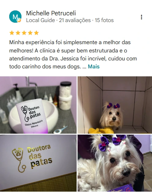 Avaliação real de tutor no Google