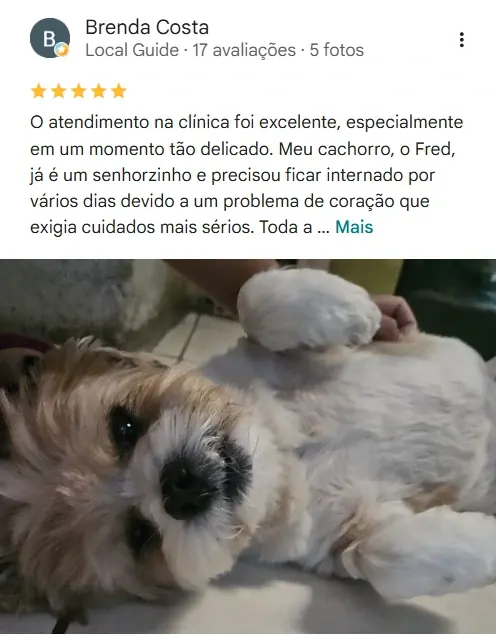 Avaliação real de tutor no Google