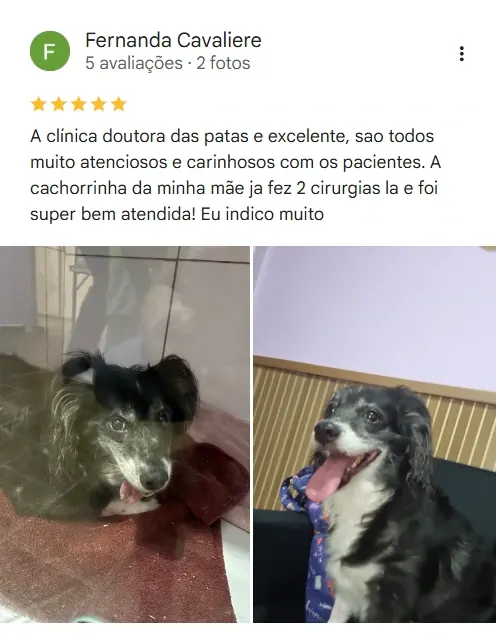 Avaliação real de tutor no Google