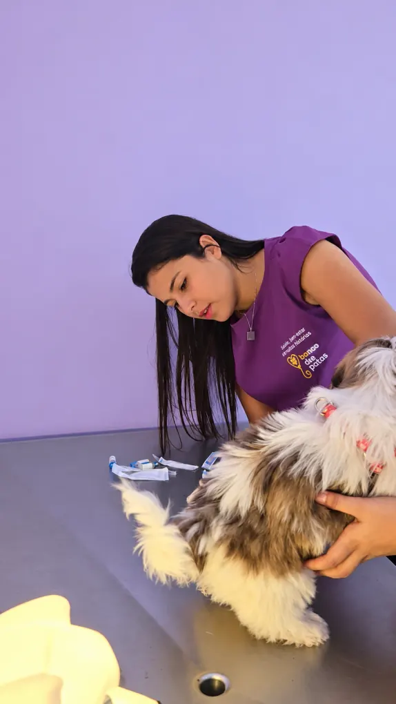 Veterinária atendendo um cão na mesa de vacinação